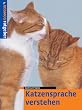 Katzensprache verstehen
