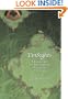 YinSights: A Journey into the Philosophy & Practice of Yin Yoga