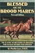 Blessed Are The Brood Mares (Howell reference books)