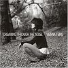 Dreaming Through the Noise