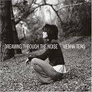 Dreaming Through the Noise
