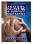 Anatomy: Palpation and Surface Markings