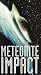 Meteorite Impact (2pc)