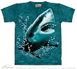 Great White T-Shirt 100% Cotton Short Sleeve Shark Shirt for YOUTHS and TEENS and ADULTS