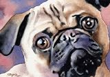 Pug Dog Art Print Signed by Artist DJ Rogers