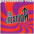 Psychedelic Rose