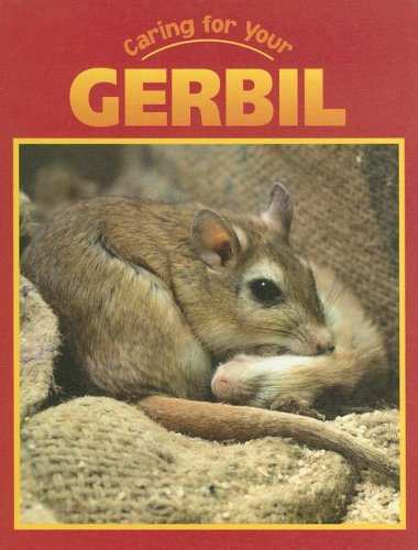 Gerbil (Caring for Your Pet)