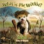 What Is Mr. Winkle? Calendar 2004 (Workman Wall Calendars)