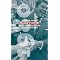 Presidential elections in American history