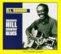 Mississippi Hill Country Blues