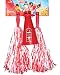 High School Musical Cheerleader Accessory Set