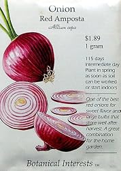 Onion Red Amposta Seed 200 Seeds