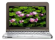 Toshiba NB200-10z 10.1-inch Netbook (Atom N280 1.66 GHz, 1 GB RAM, 160 GB HDD, Windows XP Home, Brown)