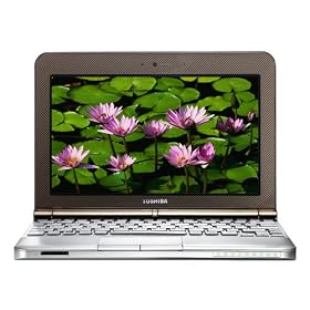 Toshiba NB200-10z 10.1-inch Netbook (Atom N280 1.66 GHz, 1 GB RAM, 160 GB HDD, Windows XP Home, Brown)