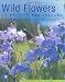 Book Wild Flowers of Britain and Ireland: A Photographic Field Guide to over 600 Species