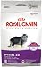 Royal Canin Dry Cat Food, Special 33 Formula, 7-Pound Bag