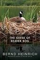 The Geese of Beaver Bog