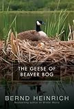 The Geese of Beaver Bog