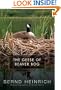 The Geese of Beaver Bog