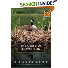 The Geese of Beaver Bog