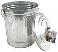 Steven Raichlen Best of Barbecue SR8012 Galvanized Charcoal and Ash Can with Lid
