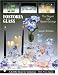 Book Fostoria Glass: The Elegant And Master-etchings (Schiffer Book for Collectors)