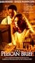 The Pelican Brief [VHS]