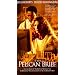 The Pelican Brief [VHS]