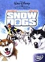 Snow Dogs [DVD] [2002]