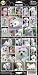   - Pet Qwerks S28 Maltese Dog Sticker