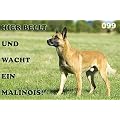 Metall - Warnschild Malinois, Belgischer Sch�ferhund