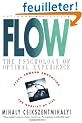Flow: The Psychology of Optimal Experience