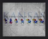 Kansas Jayhawks ProGraph "Jayhawk Evolution" Print