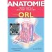Anatomie : Tome 3, ORL