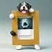 Bernese Mountain Dog 2.5