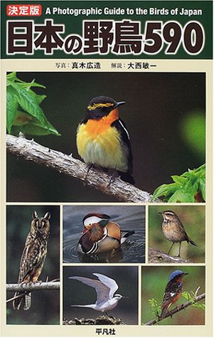 日本の野鳥590