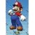 GB eye Ltd, Nintendo, Super Mario Solo, Maxi Poster, (61x91.5cm) FP1945