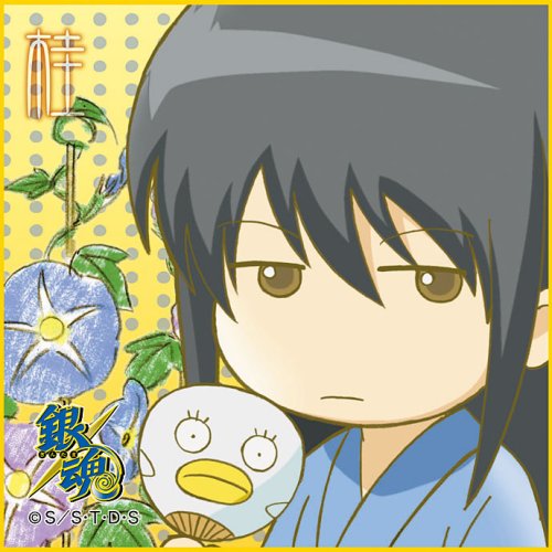 �亲 ���㥰�饹2008�� ��