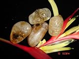 3 Large Natural AA Citrine Tumbled Stones