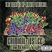 Temple of Hiphop Kulture: Criminal-Justice from Darkness to Light