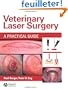 Veterinary Laser Surgery: A Practical Guide