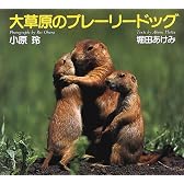 大草原のプレーリードッグ