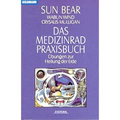 Das Medizinrad-Praxisbuch