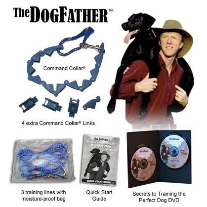 don sullivan dog training