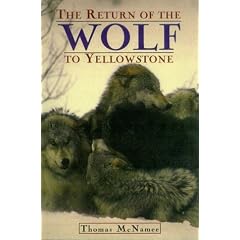 The Return of the Wolf to Yellowstone