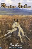 Free Again (Phantom Stallion)