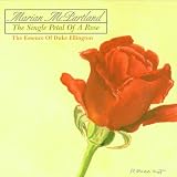 The Single Petal of a Rose