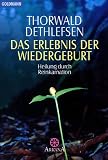 Produkt-Bild: Das Erlebnis der Wiedergeburt: Heilung durch Reinkarnation
