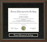 chiropractic college