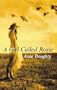 A Girl Called Rosie (Severn House Large Print)